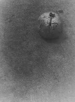 Zátiší – Granátové jablíčko, 1992