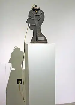 Pokus o sebevraždu (1976–1977)