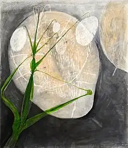 Bledé tváře, grafit, měditisková barva, křída, papír, 2005