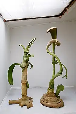 Botanická zoologická I, 1996-1997