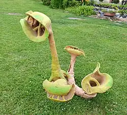 Větší tlamičky, 2009