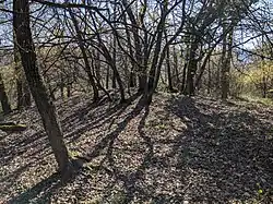 Karlštejn - husitské obléhací pozice nad Haknovým dolem (stav duben 2025) (4).jpg