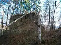 Celkový pohled na zříceninu