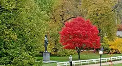 Foto z 24. října 2011