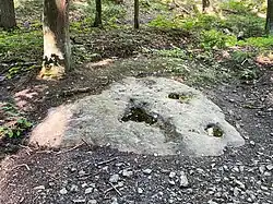 stav v červenci 2021