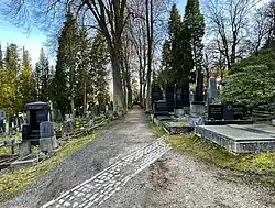 Hlavní cesta, v pozadí uprostřed rodinný hrob Ludwiga Löwi Mosera
