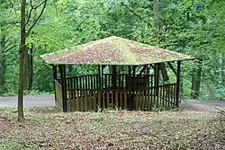 Foto: 31. července 2019