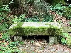 Foto: 3. července 2020