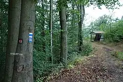 U Černé Marie se značením turistických i lázeňských vycházkových tras, srpen 2019