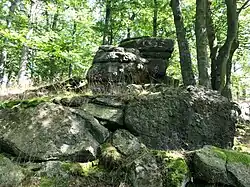 Z Labického pěšiny, srpen 2020