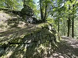 Vpravo část Labického pěšiny (žlutá turistická značka), srpen 2024