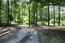 Rozcestí U Křížku 07/2019