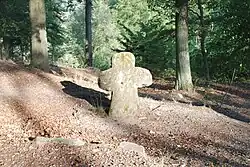 Foto: 25. července 2019