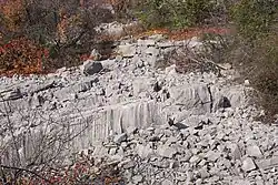 Obrázek z italského krasu