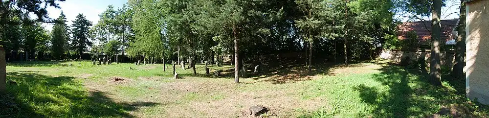 Panoramatický snímek židovského hřbitova v Kasejovicích od jihu