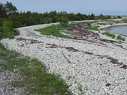 Pobřežní štěrkový val na Kassari