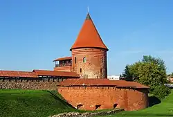 Kaunaský hrad