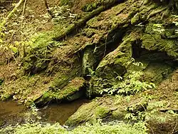 Horniny podél Kavinského potoka