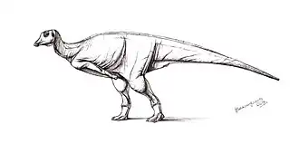 popis obrázku chybí