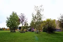 Keltský stromový kalendář v Praze-Stodůlkách