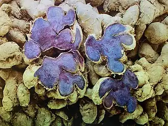 alternativní popis obrázku chybí