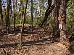 vrcholová plošina hradního pahorku (motte)