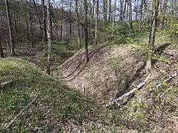 Kepkov - vnější příkop a val (1).jpg