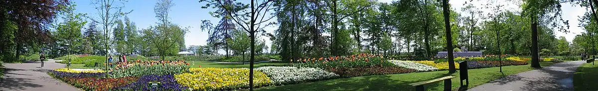 Panoramatický pohled na rozkvetlé květiny v parku Keukenhof