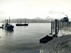 Kings Bay Kull Compani