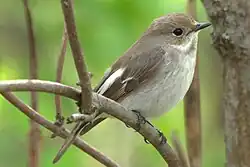 alternativní popis obrázku chybí