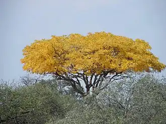 alternativní popis obrázku chybí