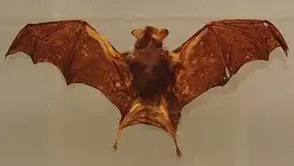 alternativní popis obrázku chybí