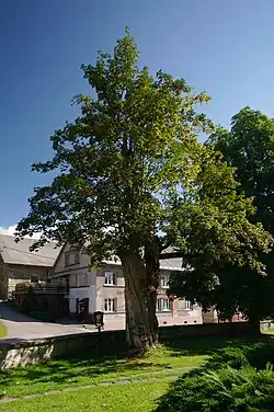 Klášterecký klen v roce 2016