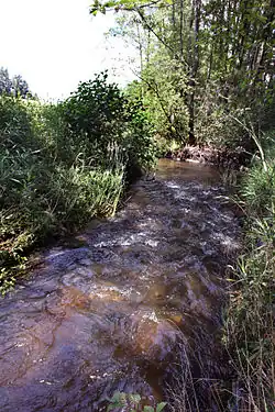 Potok v PR Kladinský potok