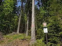 Přírodní památka Kladnatá - Grapy