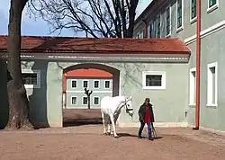 Národní hřebčín Kladruby nad Labem