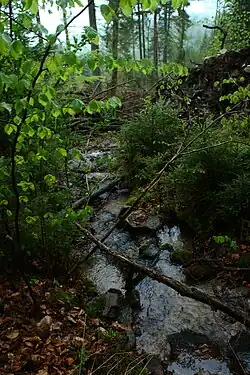 Hejdlovský potok nedaleko svého pramene