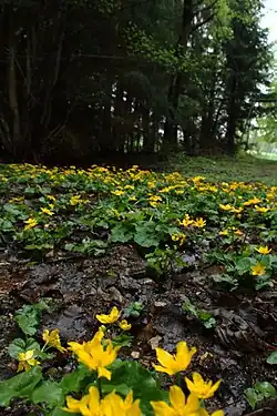 Blatouchy v PP Horní luka