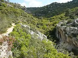 Vápencová stráň porostlá makchií, jaro