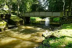 Klenice v lesoparku Štěpánka v Mladé Boleslavi