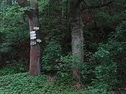 Klepačov u Blanska - místo památkově chráněného kříže u modré značené cesty za mostem Svitavské ulice.jpg