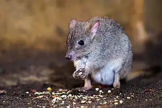 alternativní popis obrázku chybí