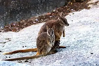 alternativní popis obrázku chybí