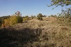 příchod k hradišti od jihovýchodu