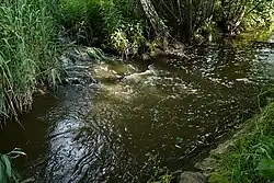 Soutok Kněžmostky s Koprnickým potokem (nahoře)