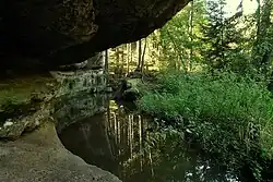 Kněžmostka před Drhlenským rybníkem