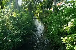 Kněžmostka v Bakově nad Jizerou