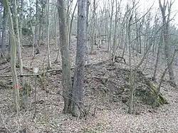 Kněžnice v roce 2014