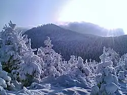 Kněhyně z Malé Stolové hory