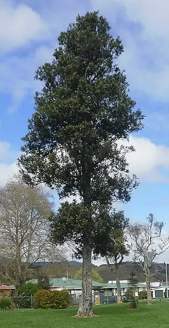 alternativní popis obrázku chybí